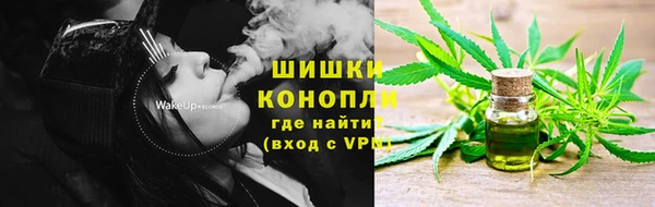 сатива Арсеньев