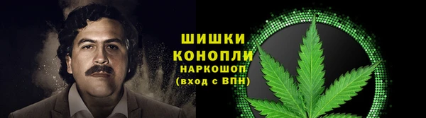 сатива Арсеньев