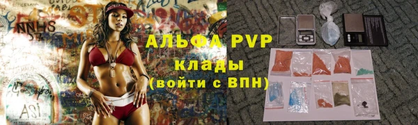 сатива Арсеньев