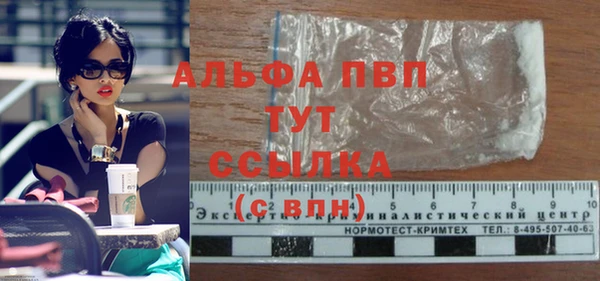 сатива Арсеньев