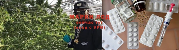 сатива Арсеньев